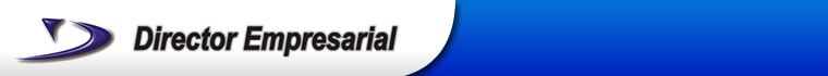 Director Empresarial